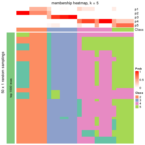 plot of chunk tab-node-01-membership-heatmap-4