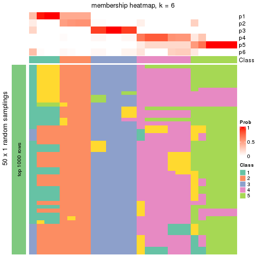 plot of chunk tab-node-01-membership-heatmap-5