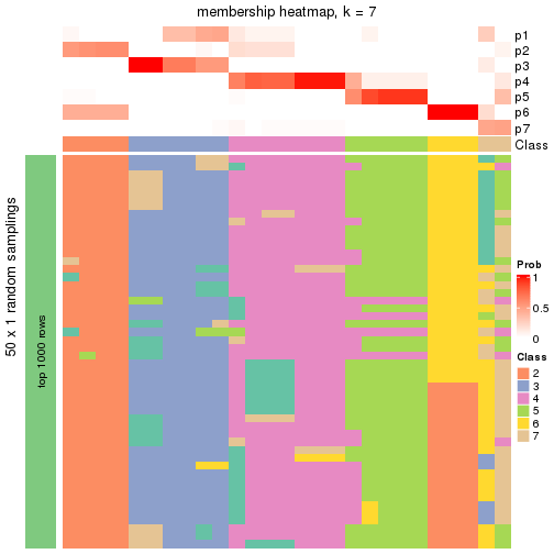 plot of chunk tab-node-01-membership-heatmap-6