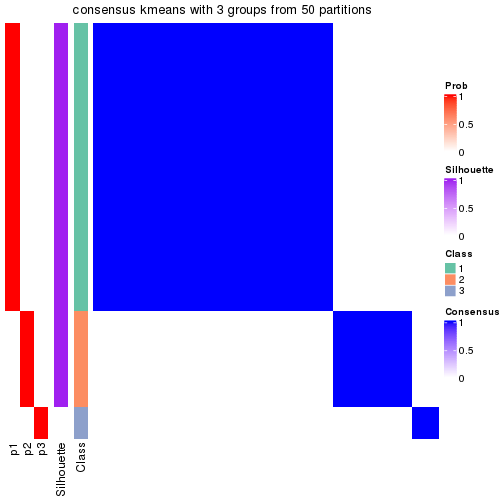 plot of chunk tab-node-011-consensus-heatmap-2