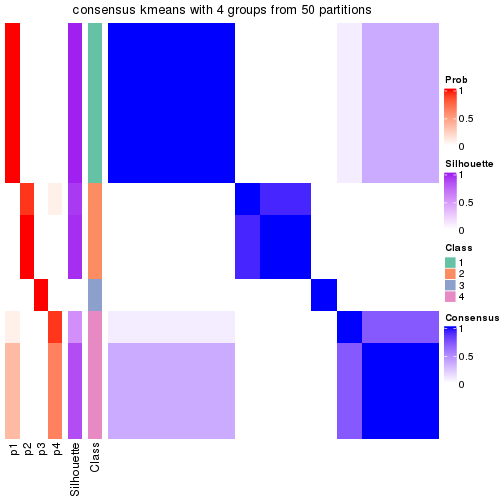 plot of chunk tab-node-011-consensus-heatmap-3