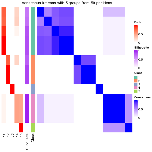 plot of chunk tab-node-011-consensus-heatmap-4