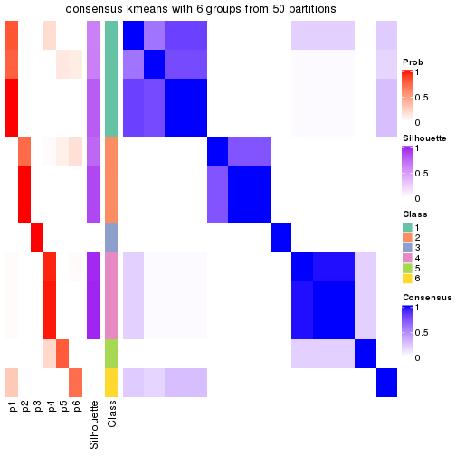 plot of chunk tab-node-011-consensus-heatmap-5