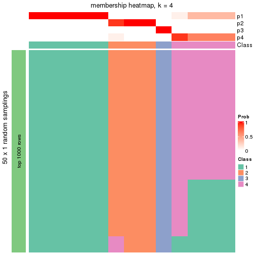 plot of chunk tab-node-011-membership-heatmap-3