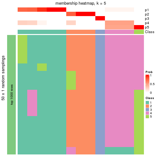 plot of chunk tab-node-011-membership-heatmap-4