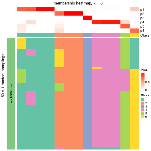 plot of chunk tab-node-011-membership-heatmap-5