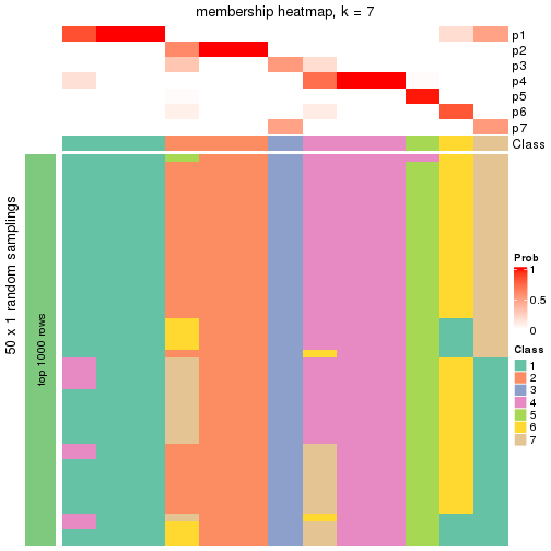 plot of chunk tab-node-011-membership-heatmap-6