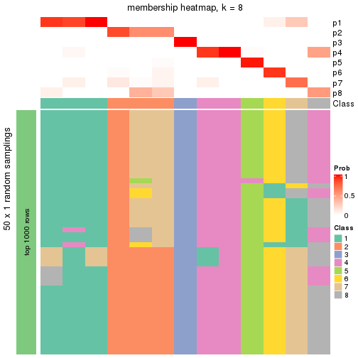 plot of chunk tab-node-011-membership-heatmap-7