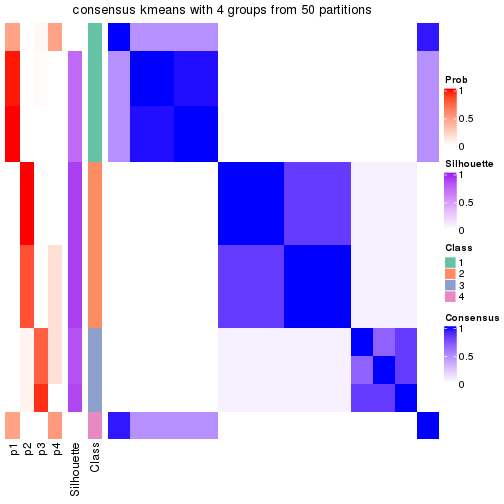 plot of chunk tab-node-02-consensus-heatmap-3