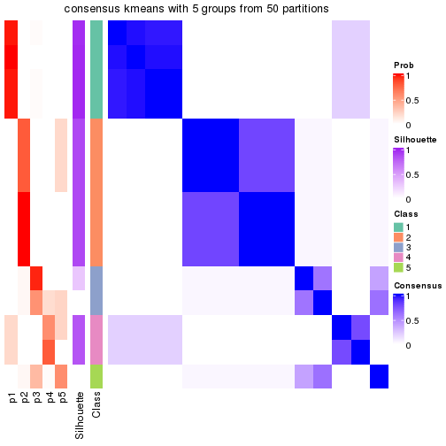 plot of chunk tab-node-02-consensus-heatmap-4