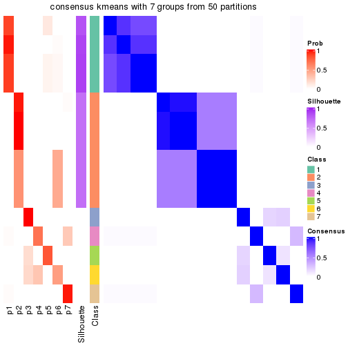 plot of chunk tab-node-02-consensus-heatmap-6