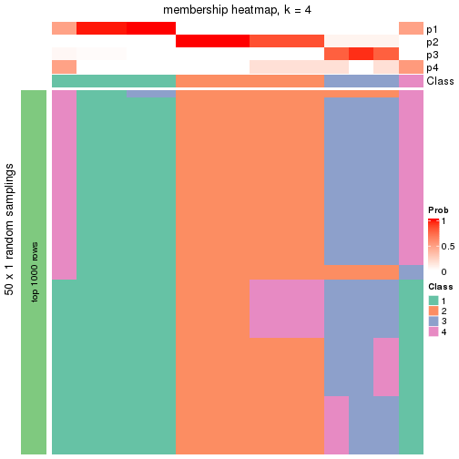 plot of chunk tab-node-02-membership-heatmap-3