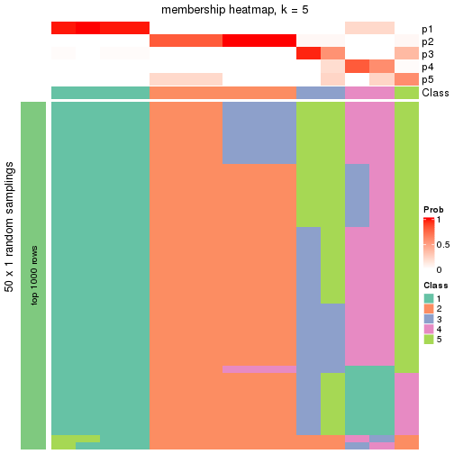 plot of chunk tab-node-02-membership-heatmap-4