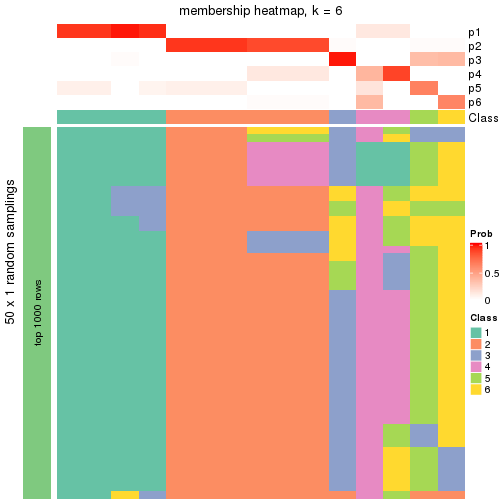 plot of chunk tab-node-02-membership-heatmap-5