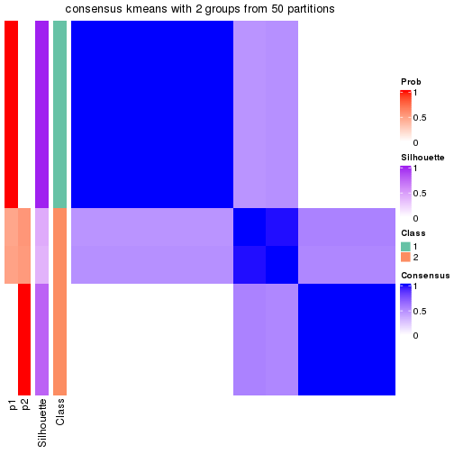 plot of chunk tab-node-03-consensus-heatmap-1