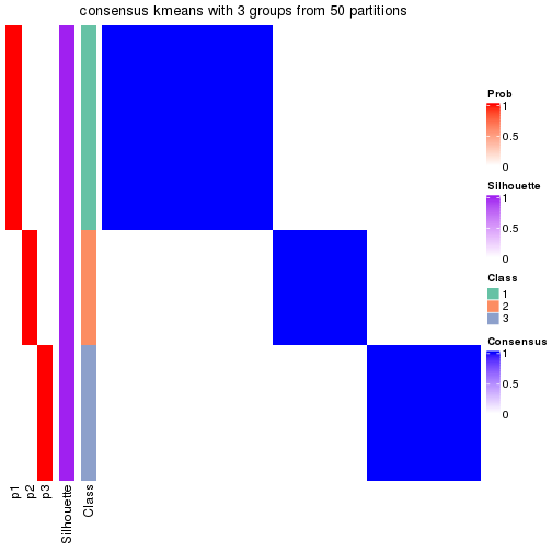 plot of chunk tab-node-03-consensus-heatmap-2