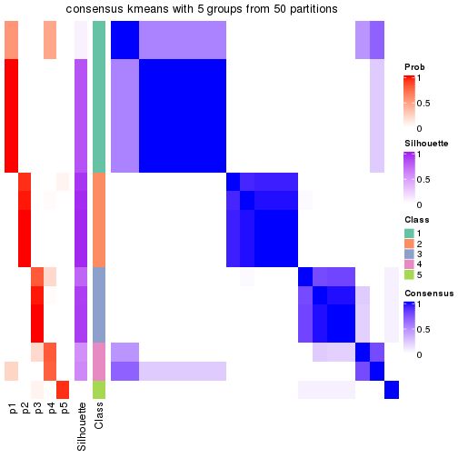 plot of chunk tab-node-03-consensus-heatmap-4