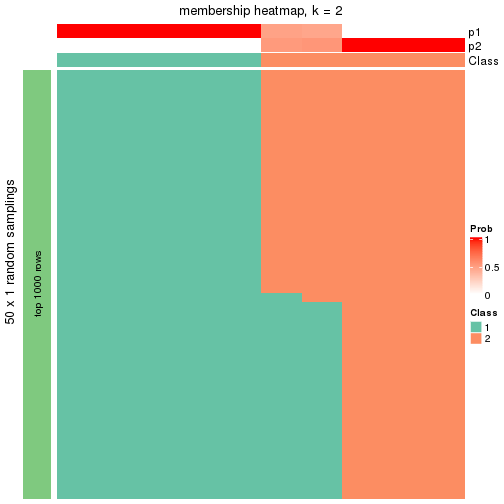 plot of chunk tab-node-03-membership-heatmap-1