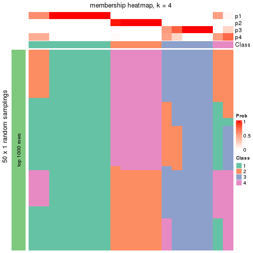 plot of chunk tab-node-03-membership-heatmap-3