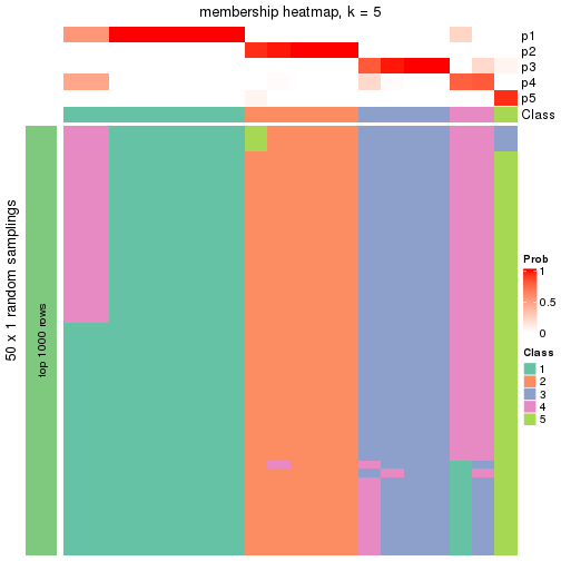 plot of chunk tab-node-03-membership-heatmap-4