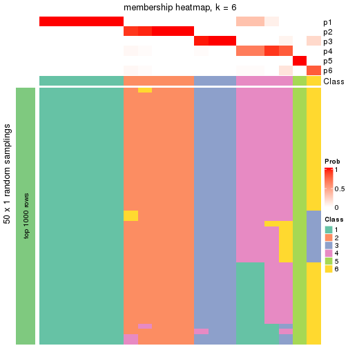 plot of chunk tab-node-03-membership-heatmap-5