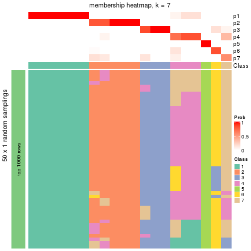 plot of chunk tab-node-03-membership-heatmap-6