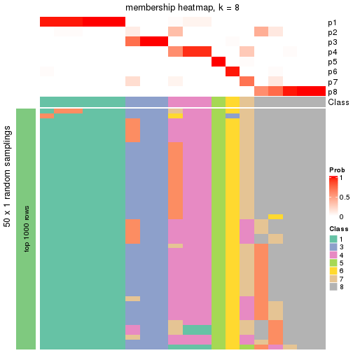 plot of chunk tab-node-03-membership-heatmap-7