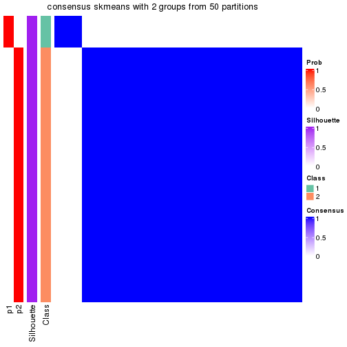 plot of chunk tab-node-04-consensus-heatmap-1