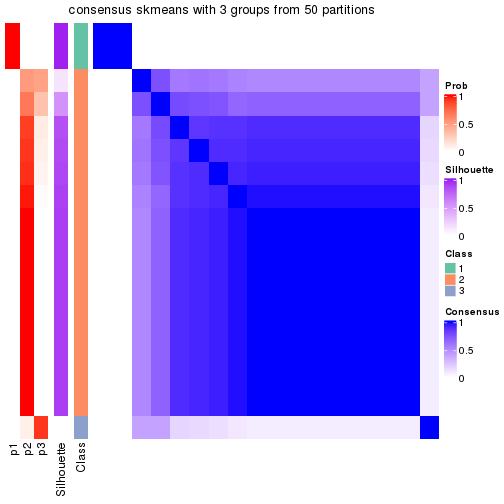 plot of chunk tab-node-04-consensus-heatmap-2