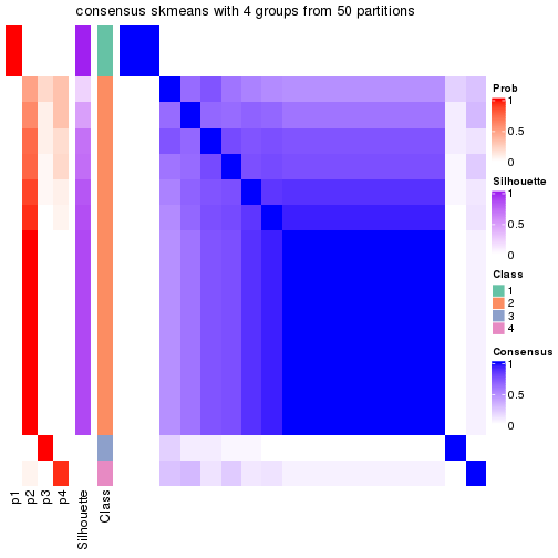 plot of chunk tab-node-04-consensus-heatmap-3