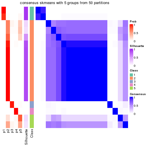 plot of chunk tab-node-04-consensus-heatmap-4