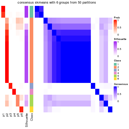 plot of chunk tab-node-04-consensus-heatmap-5