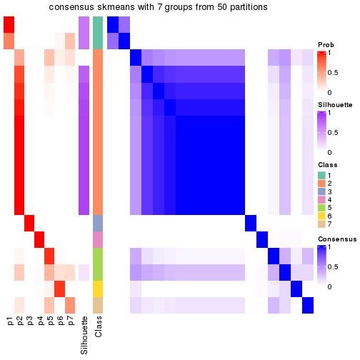 plot of chunk tab-node-04-consensus-heatmap-6