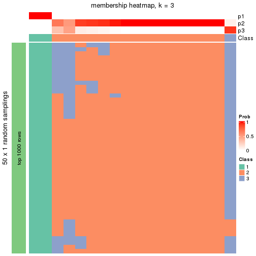 plot of chunk tab-node-04-membership-heatmap-2