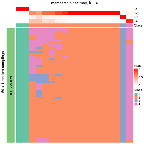 plot of chunk tab-node-04-membership-heatmap-3