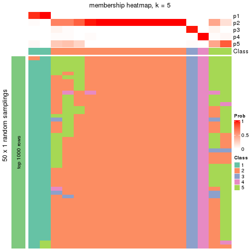 plot of chunk tab-node-04-membership-heatmap-4