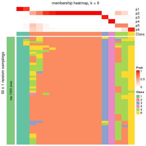 plot of chunk tab-node-04-membership-heatmap-5