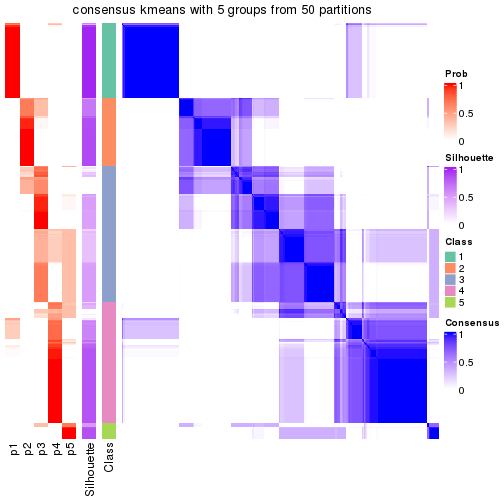 plot of chunk tab-node-0-consensus-heatmap-4