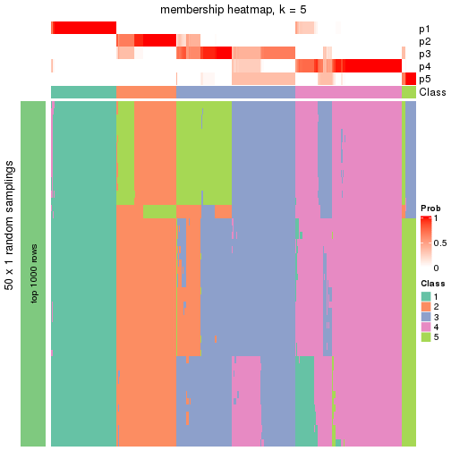 plot of chunk tab-node-0-membership-heatmap-4