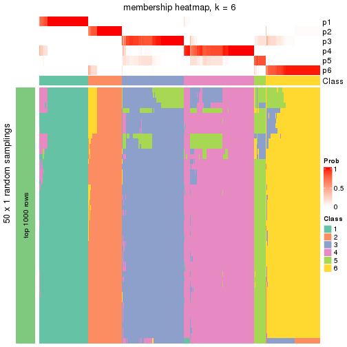 plot of chunk tab-node-0-membership-heatmap-5