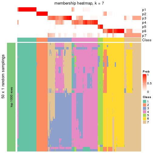 plot of chunk tab-node-0-membership-heatmap-6