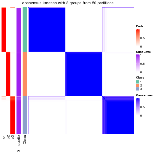 plot of chunk tab-node-01-consensus-heatmap-2