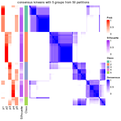 plot of chunk tab-node-01-consensus-heatmap-4