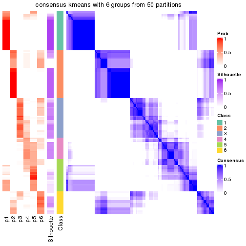 plot of chunk tab-node-01-consensus-heatmap-5