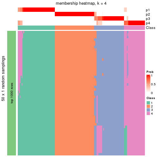 plot of chunk tab-node-01-membership-heatmap-3