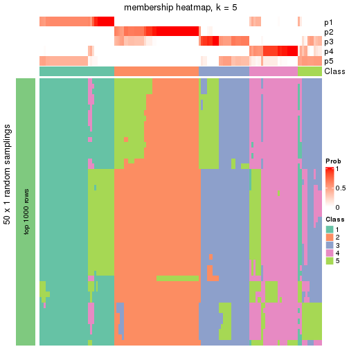 plot of chunk tab-node-01-membership-heatmap-4