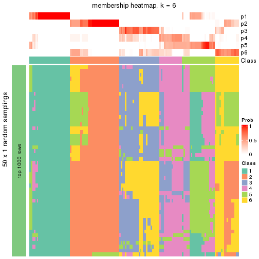 plot of chunk tab-node-01-membership-heatmap-5