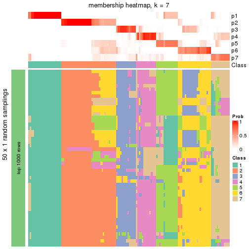 plot of chunk tab-node-01-membership-heatmap-6