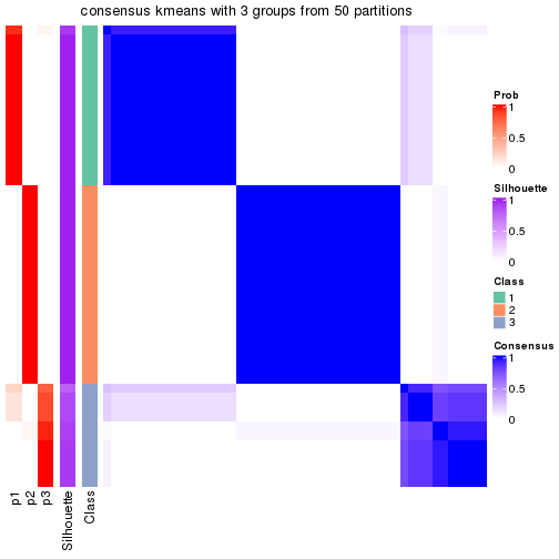 plot of chunk tab-node-011-consensus-heatmap-2