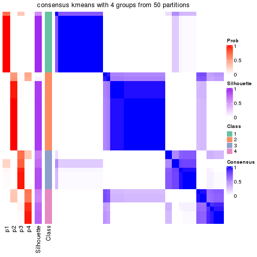 plot of chunk tab-node-011-consensus-heatmap-3